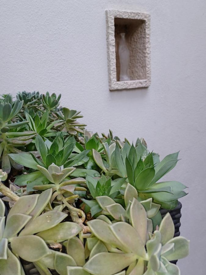 Monnalisa House Apartment Malcesine Luaran gambar